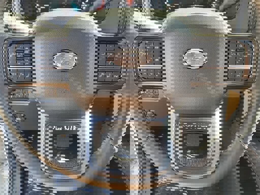 New 2025 Ford F250 Platinum image 19