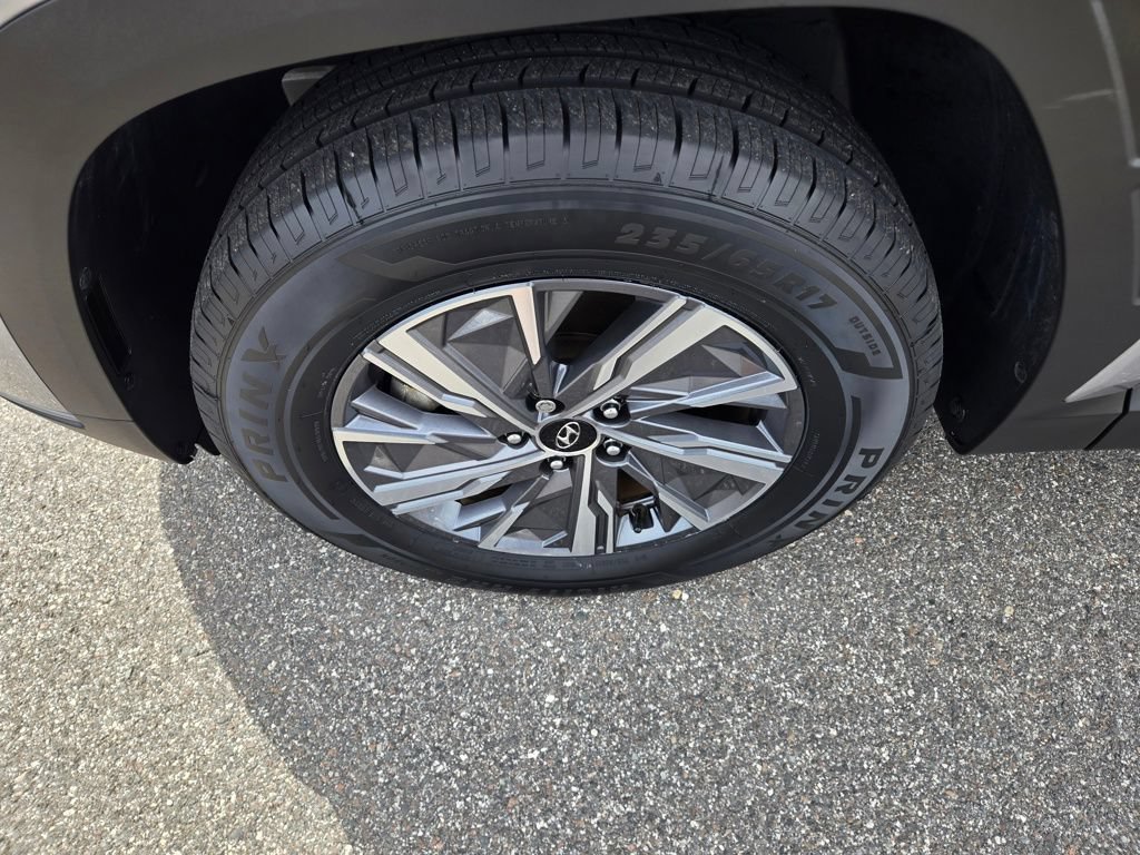 Used 2023 Hyundai Tucson Blue AWD/4WD image 13