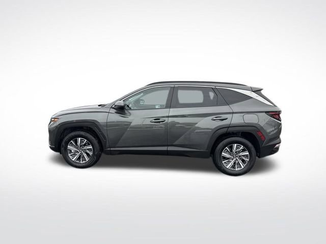 Used 2024 Hyundai Tucson Blue video 2
