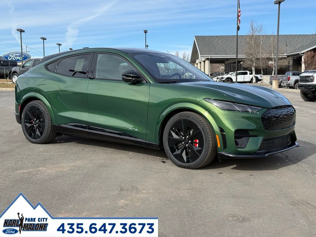 New 2025 Ford Mustang Mach-E GT w/ Interior Protection Package image 30