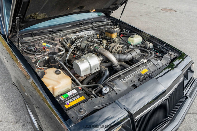 Used 1986 Buick Regal T-Type image 16