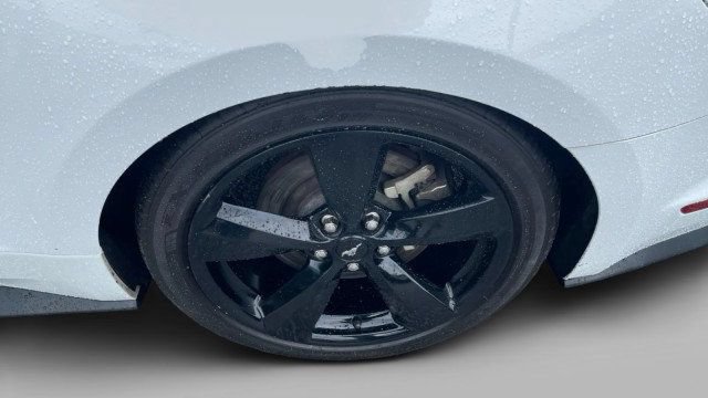 Used 2023 Ford Mustang GT Premium w/ Mustang Nite Pony Package RWD image 5