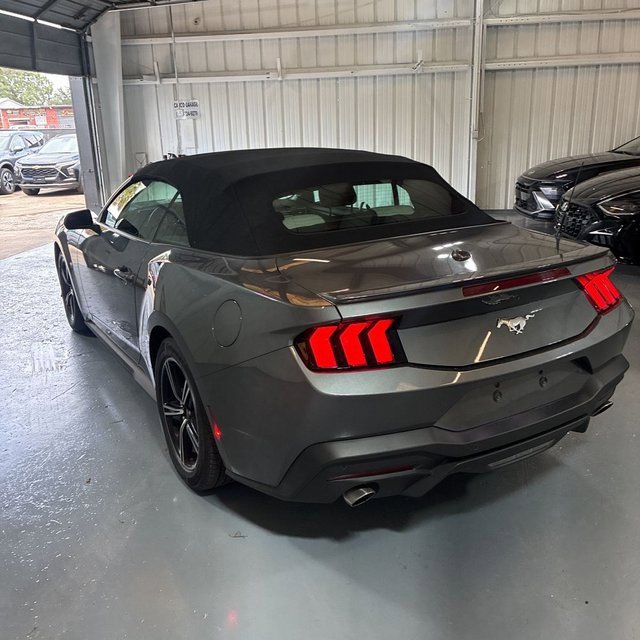 Used 2024 Ford Mustang Premium image 7