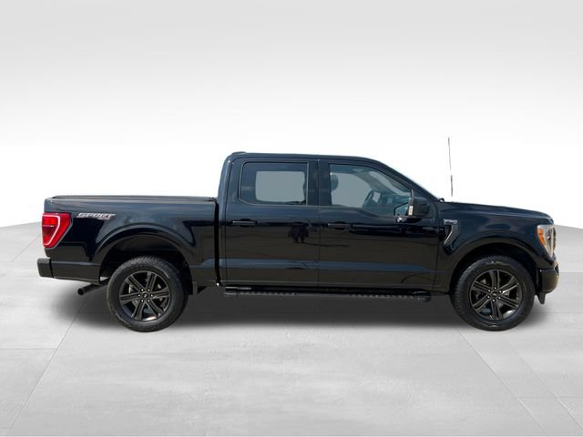 Used 2021 Ford F150 XLT w/ Equipment Group 302A High AWD/4WD image 8