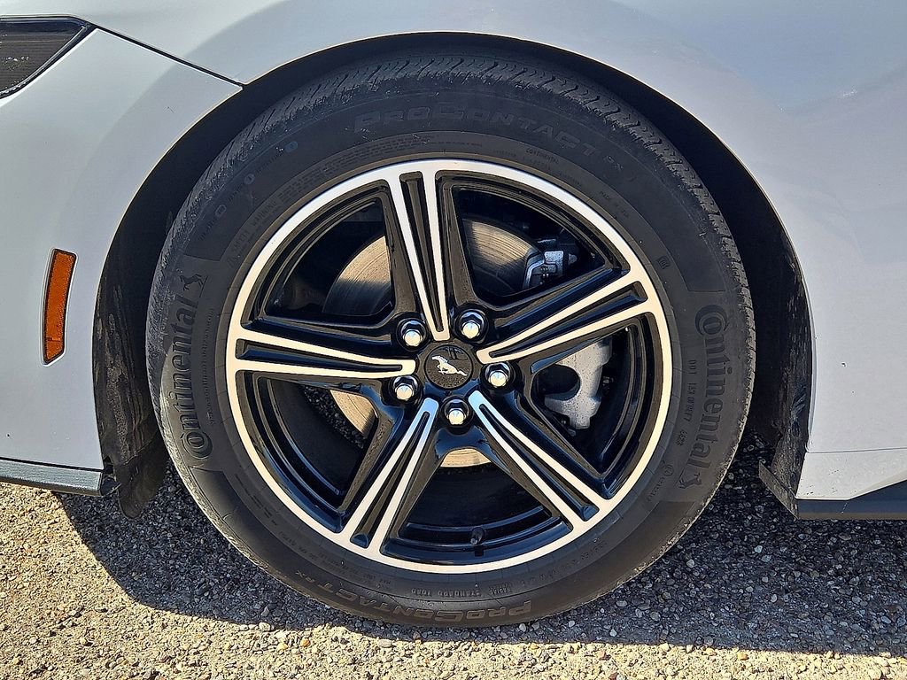 Used 2024 Ford Mustang Premium image 11