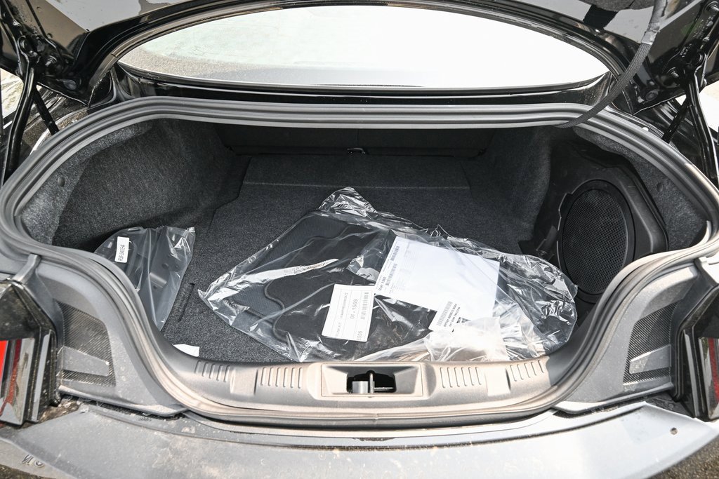 New 2025 Ford Mustang Dark Horse image 14