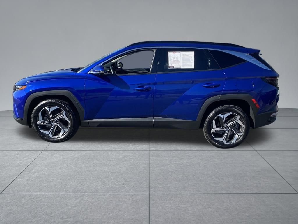 Used 2023 Hyundai Tucson Limited image 4