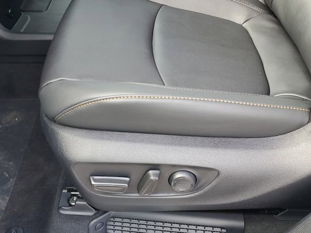 New 2026 Toyota Sienna XLE Woodland Edition image 13