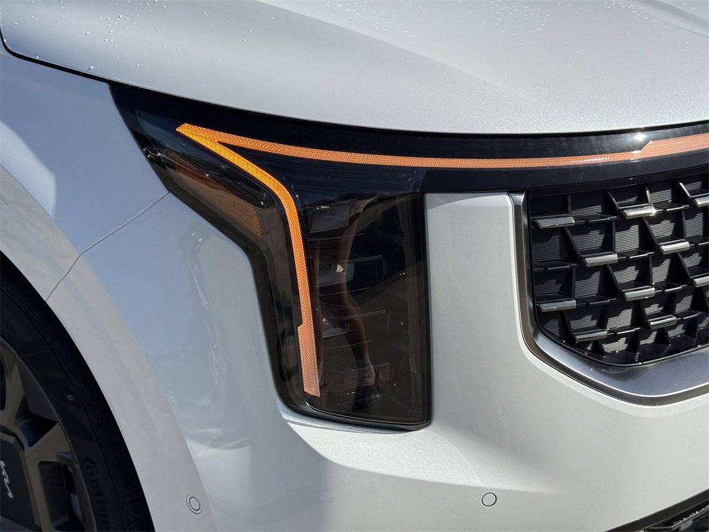 New 2026 Kia Carnival SX image 10