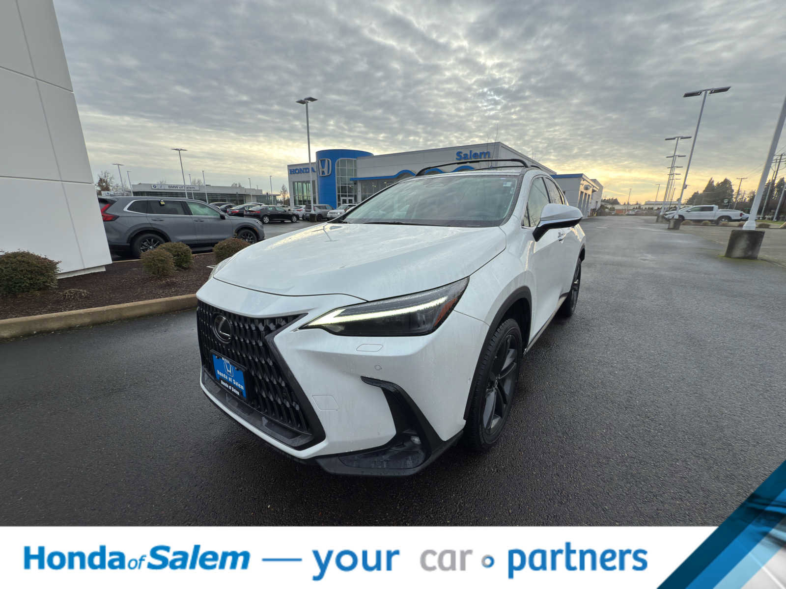 Used 2023 Lexus NX 450h+ AWD w/ Vision Package image 1