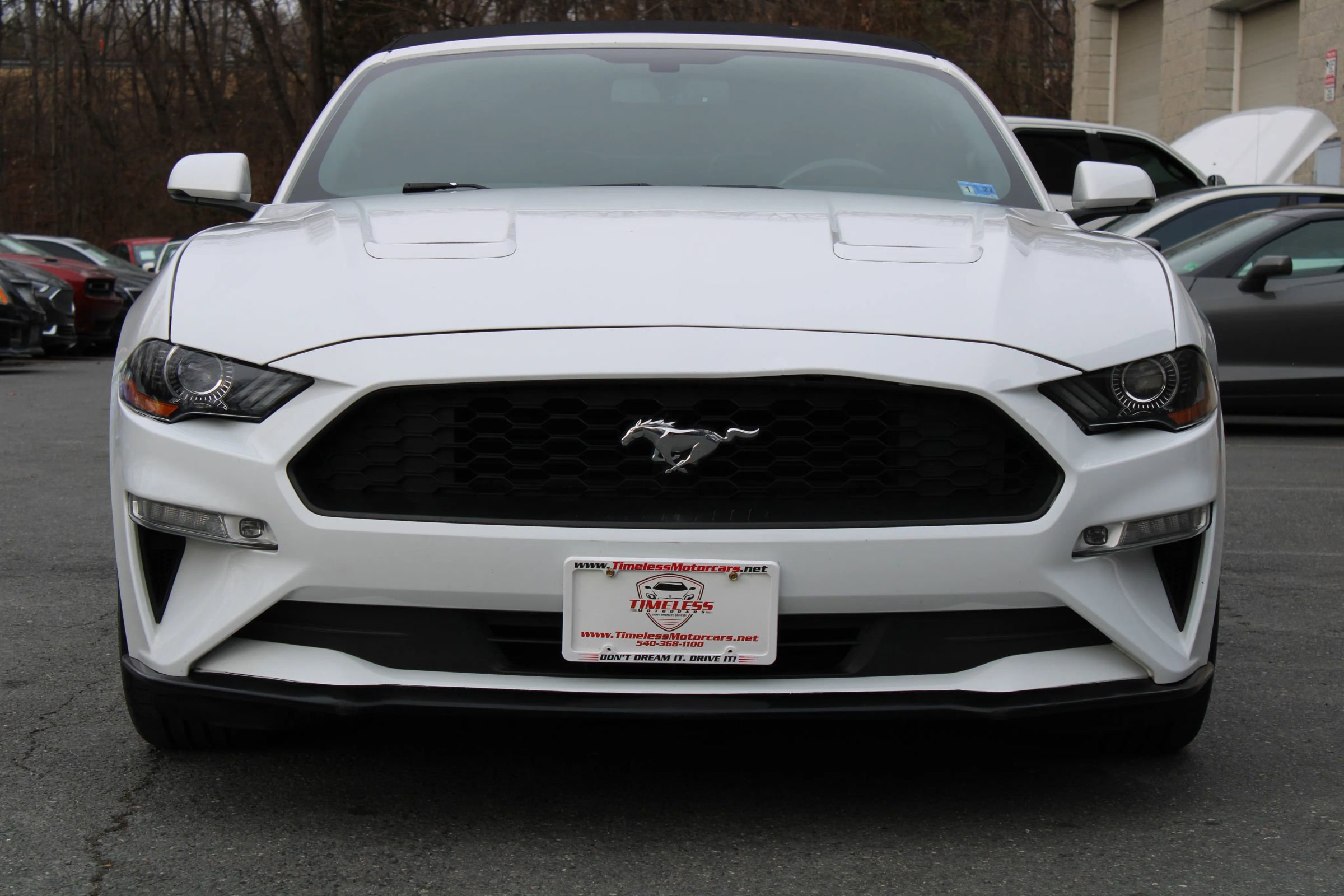Used 2019 Ford Mustang Premium image 2