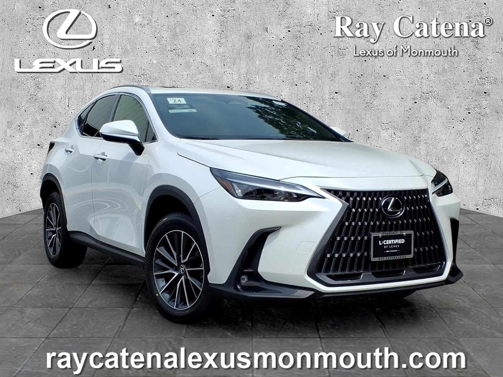 Certified 2024 Lexus NX 250 FWD w/ Cold Area Package video 1