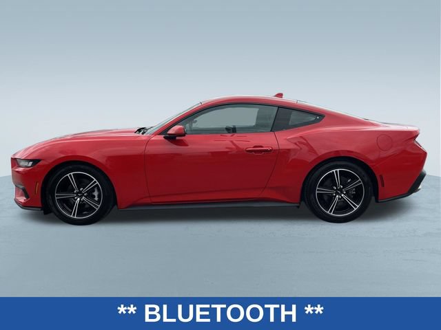 Used 2024 Ford Mustang Coupe RWD image 4