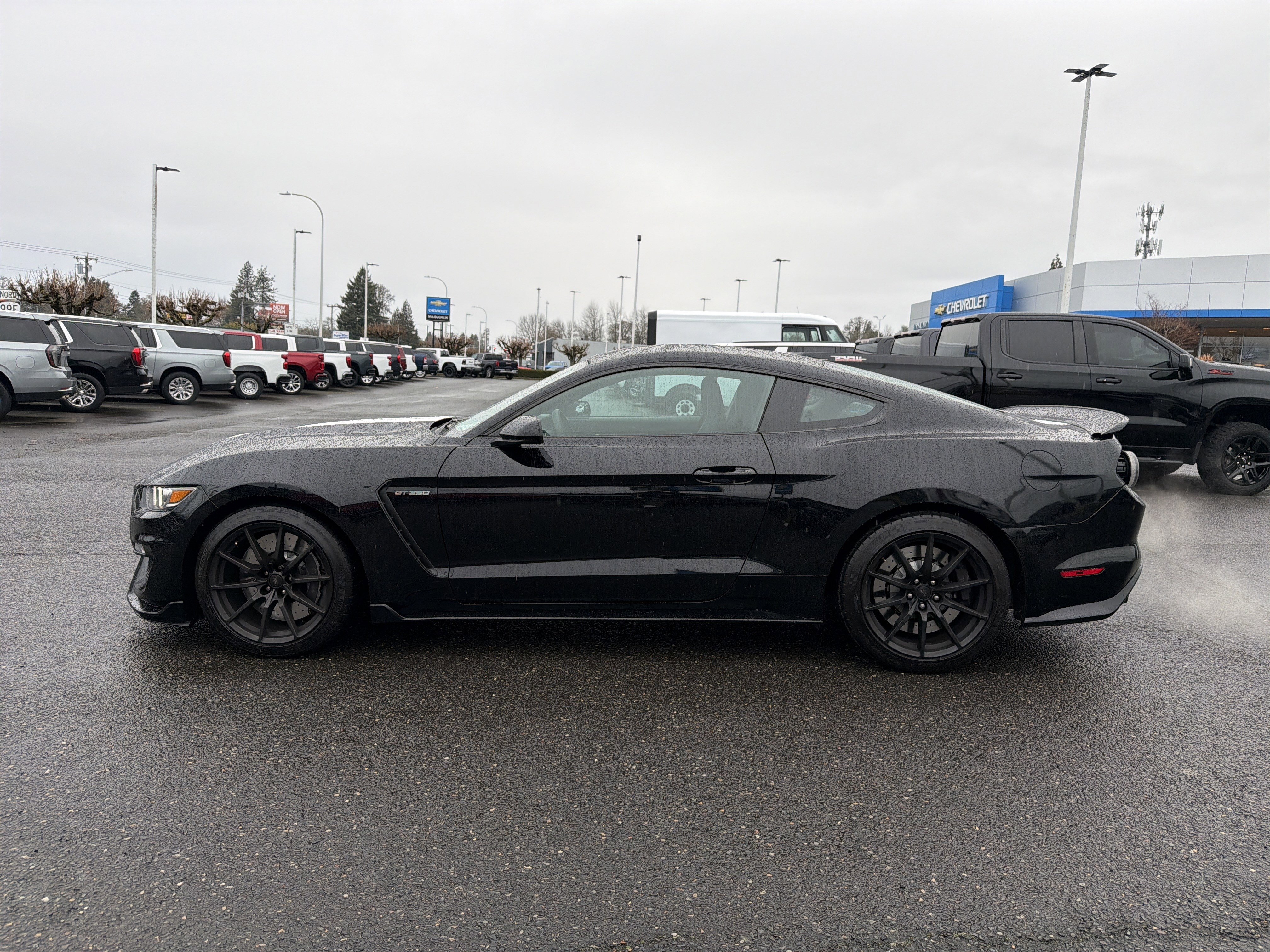Used 2016 Ford Mustang Shelby GT350 w/ Track Package image 2