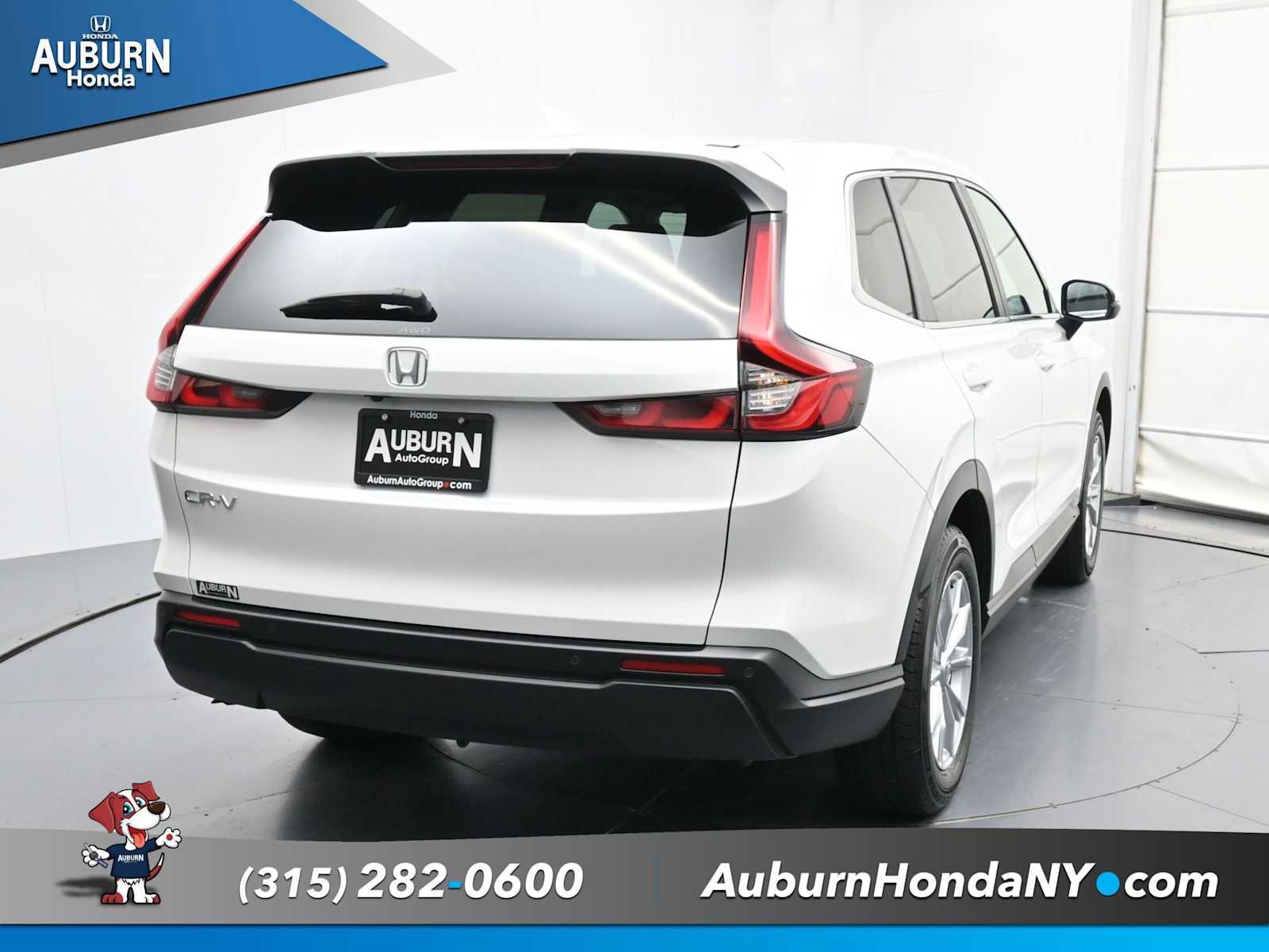 Used 2025 Honda CR-V EX-L image 3