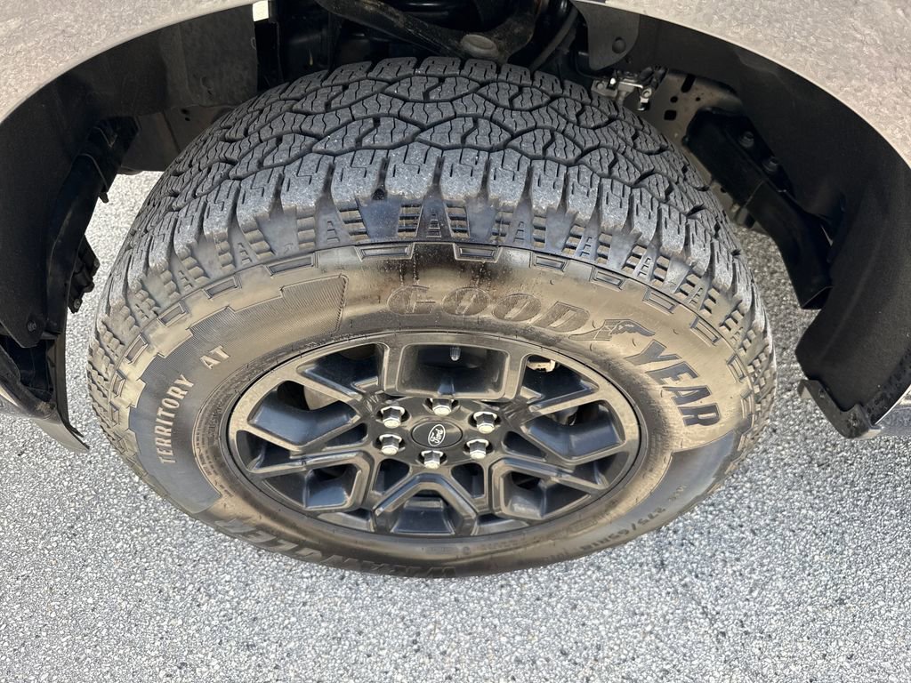 Certified 2025 Ford F150 XLT w/ Equipment Group 302A MID image 12