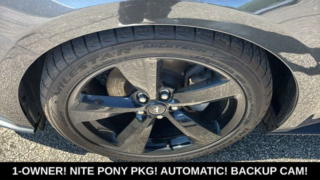 Used 2023 Ford Mustang Coupe w/ Equipment Group 101A RWD image 33