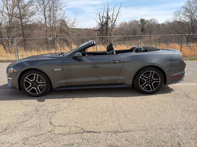 Used 2019 Ford Mustang GT Premium w/ Equipment Group 401A image 14