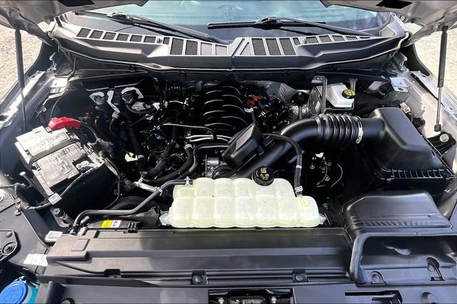 Used 2025 Ford F150 XLT w/ Equipment Group 301A Standard image 9