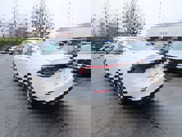 Certified 2023 Honda Accord EX-L image 4