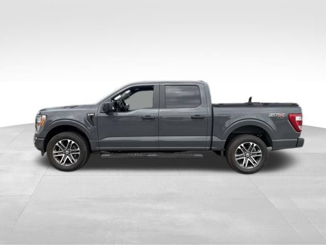 Used 2021 Ford F150 XL w/ STX Appearance Package AWD/4WD image 7