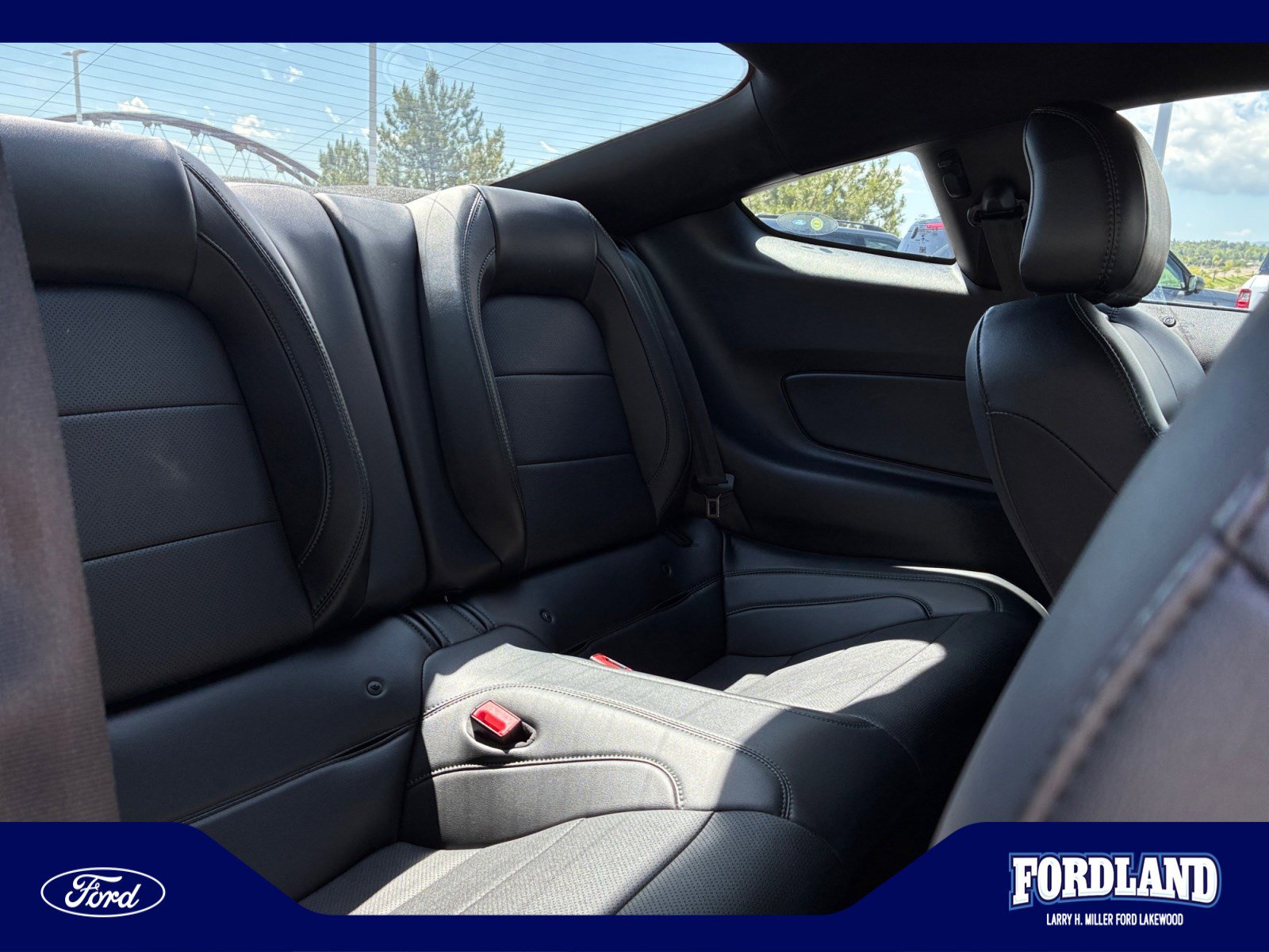 Used 2019 Ford Mustang Bullitt w/ Bullitt Electronics Package RWD image 18