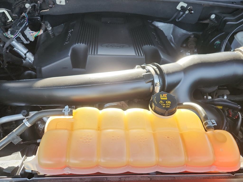 Used 2019 Ford F150 XLT w/ Equipment Group 302A Luxury image 18