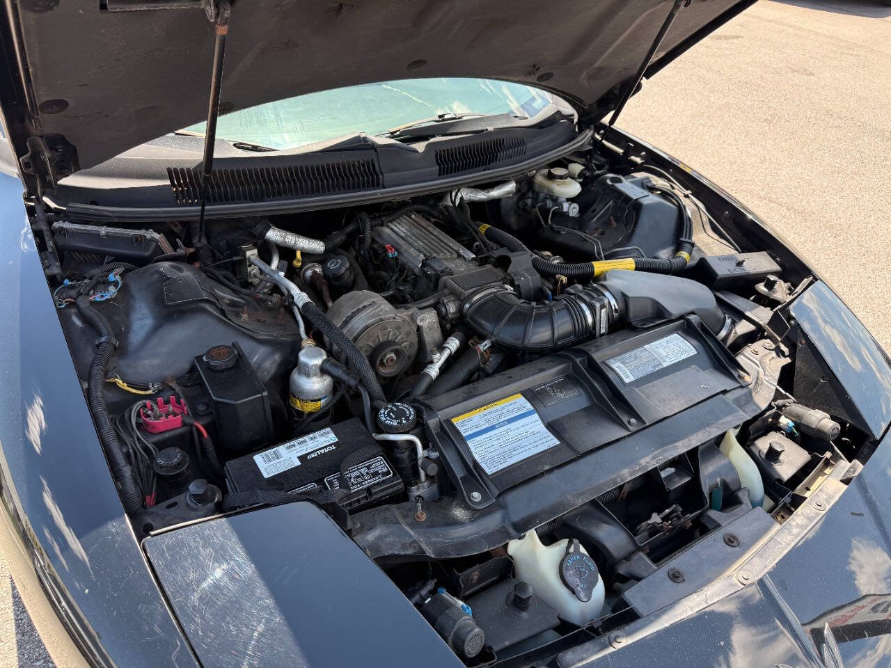 Used 1995 Pontiac Firebird Trans Am RWD image 10
