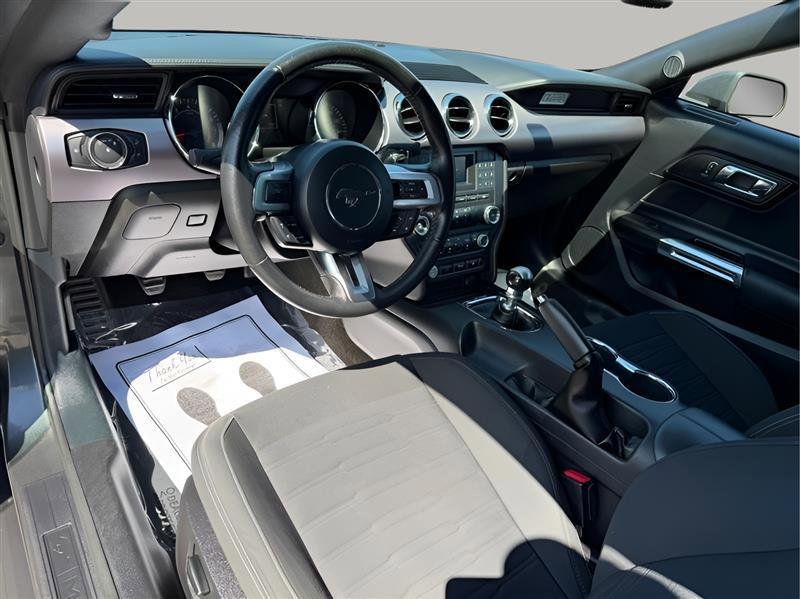 Used 2017 Ford Mustang GT w/ Black Accent Package RWD image 20