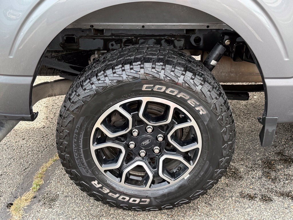 Used 2022 Ford F150 XLT w/ Equipment Group 302A High AWD/4WD image 6