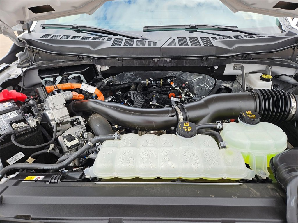 Used 2025 Ford F150 XLT w/ Equipment Group 301A Standard image 23