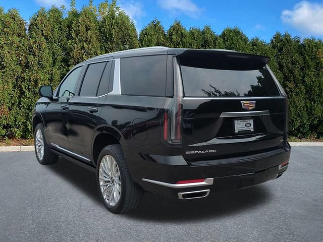 Used 2025 Cadillac Escalade Premium Luxury AWD/4WD image 6