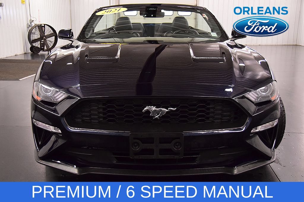 Used 2021 Ford Mustang Premium w/ Equipment Group 201A RWD image 2