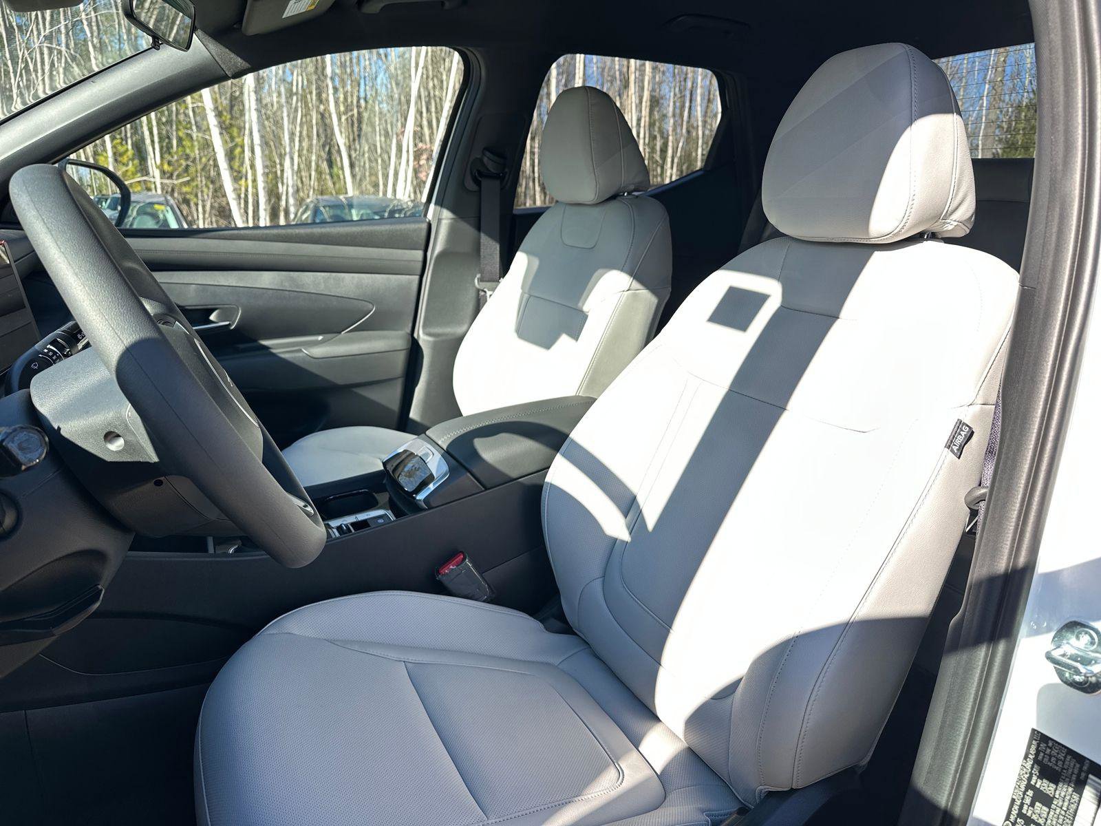 New 2026 Hyundai Santa Cruz SEL image 7