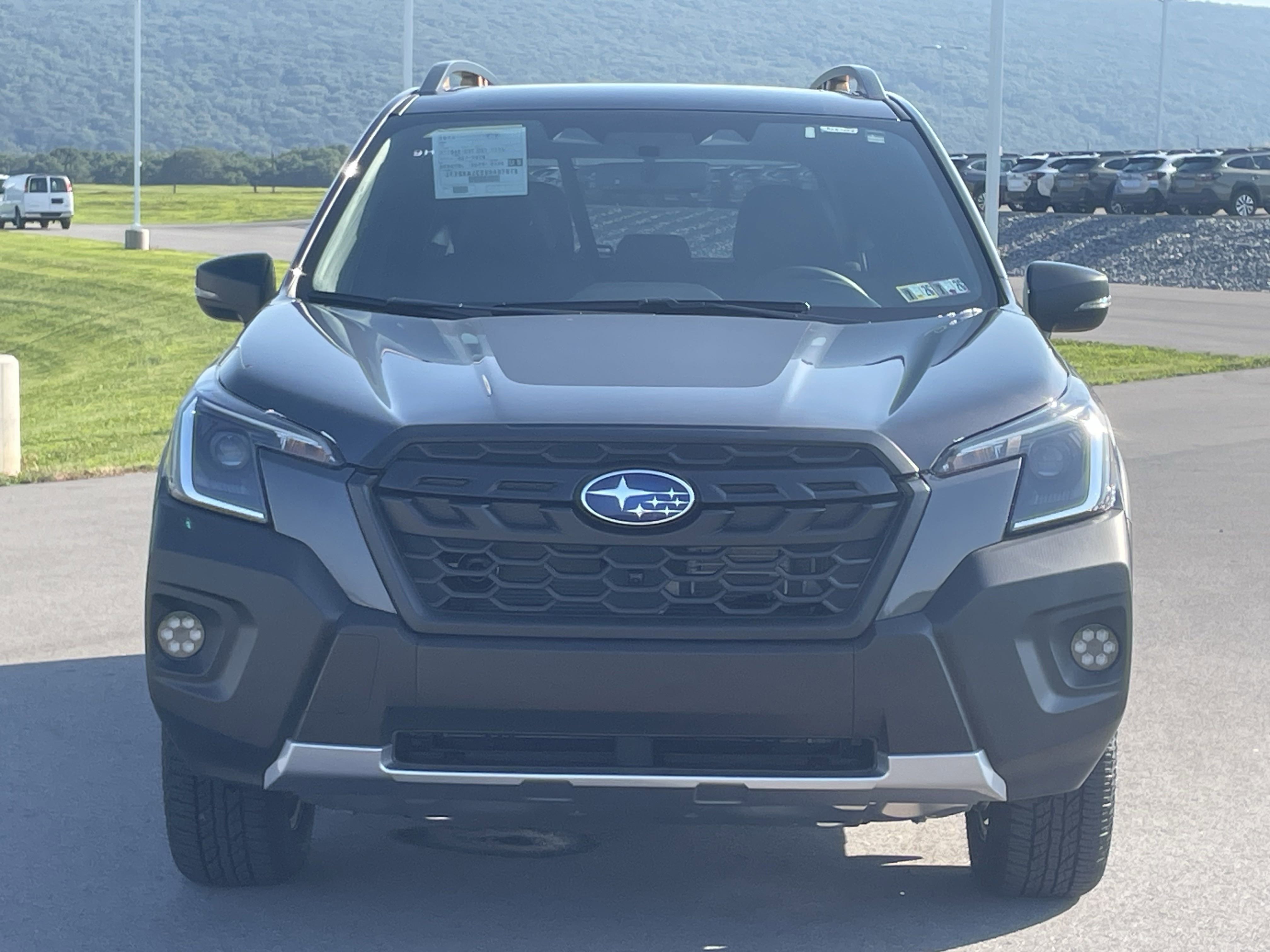 Used 2025 Subaru Forester Wilderness AWD/4WD image 6