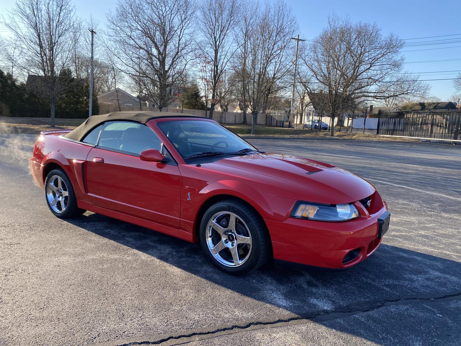 Used 2004 Ford Mustang Cobra image 7