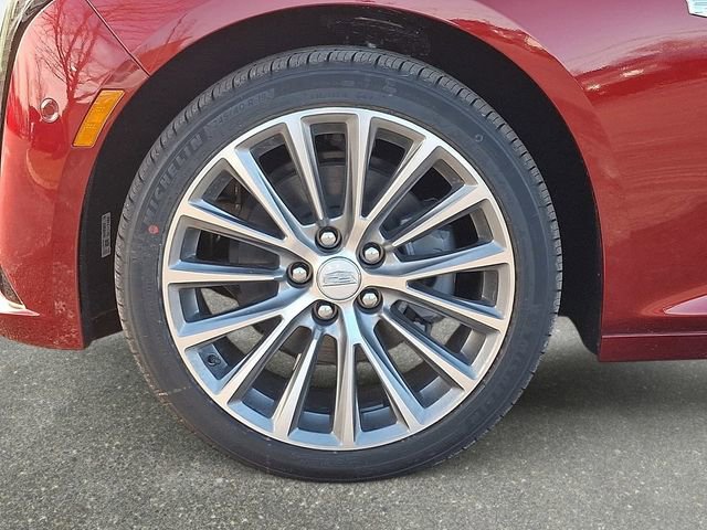 New 2025 Cadillac CT5 Premium Luxury w/ Sun And Sound Package image 8