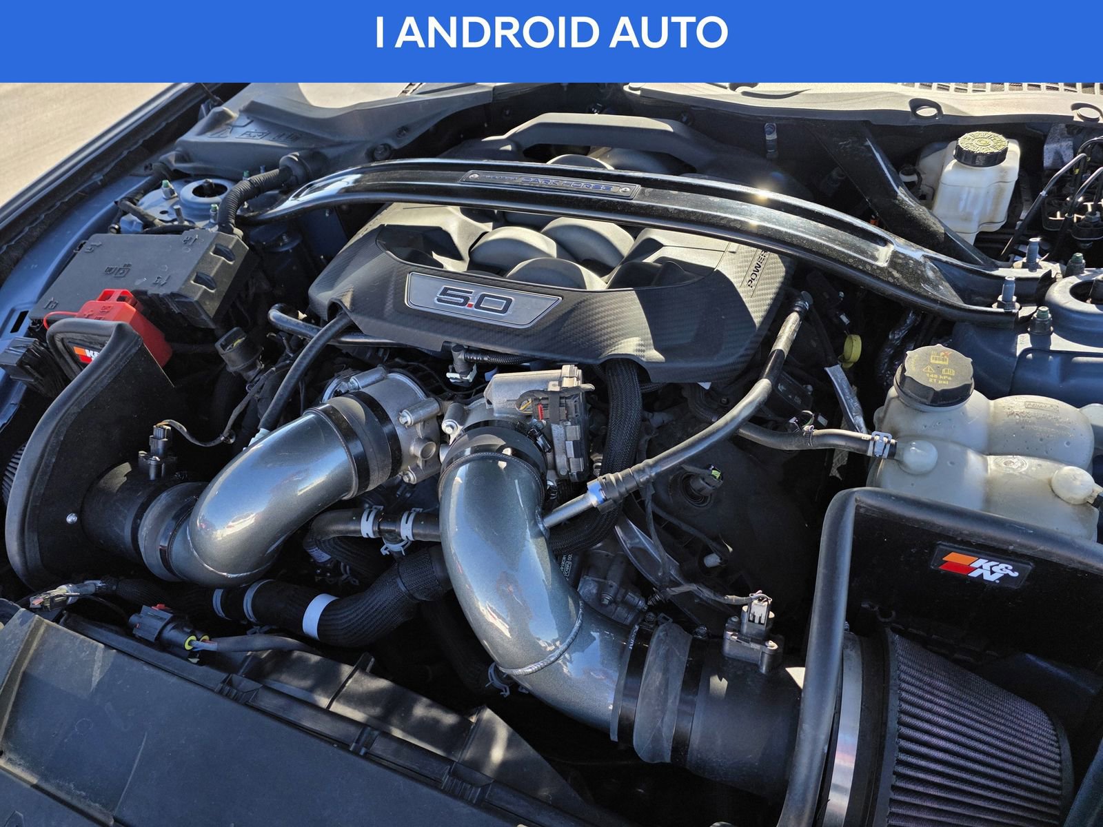 Used 2024 Ford Mustang Dark Horse image 13