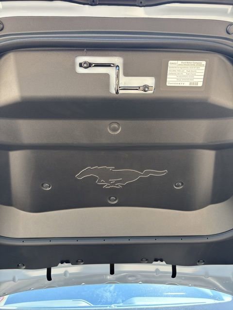 New 2025 Ford Mustang Mach-E Premium image 17