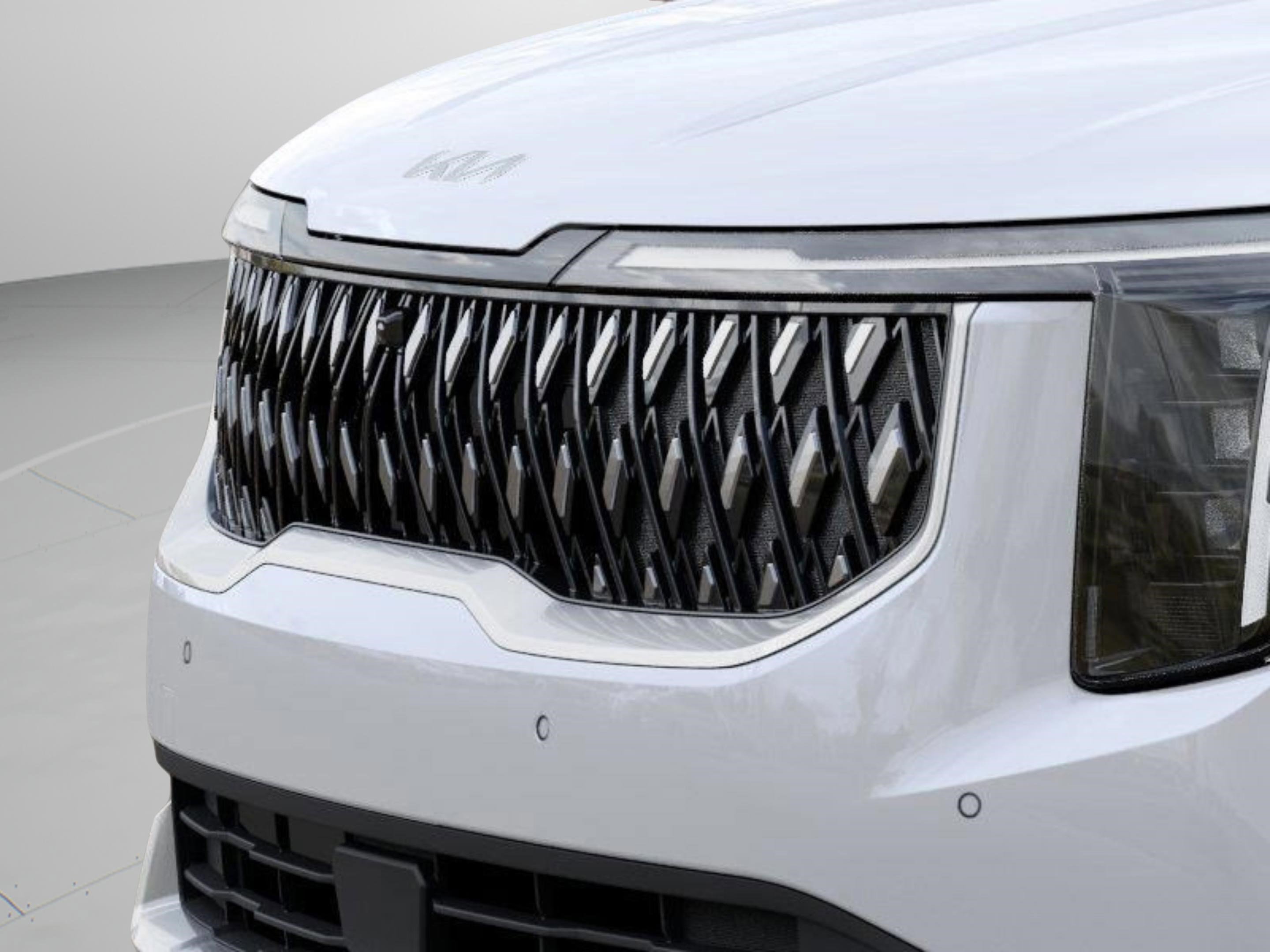 New 2026 Kia Carnival image 13