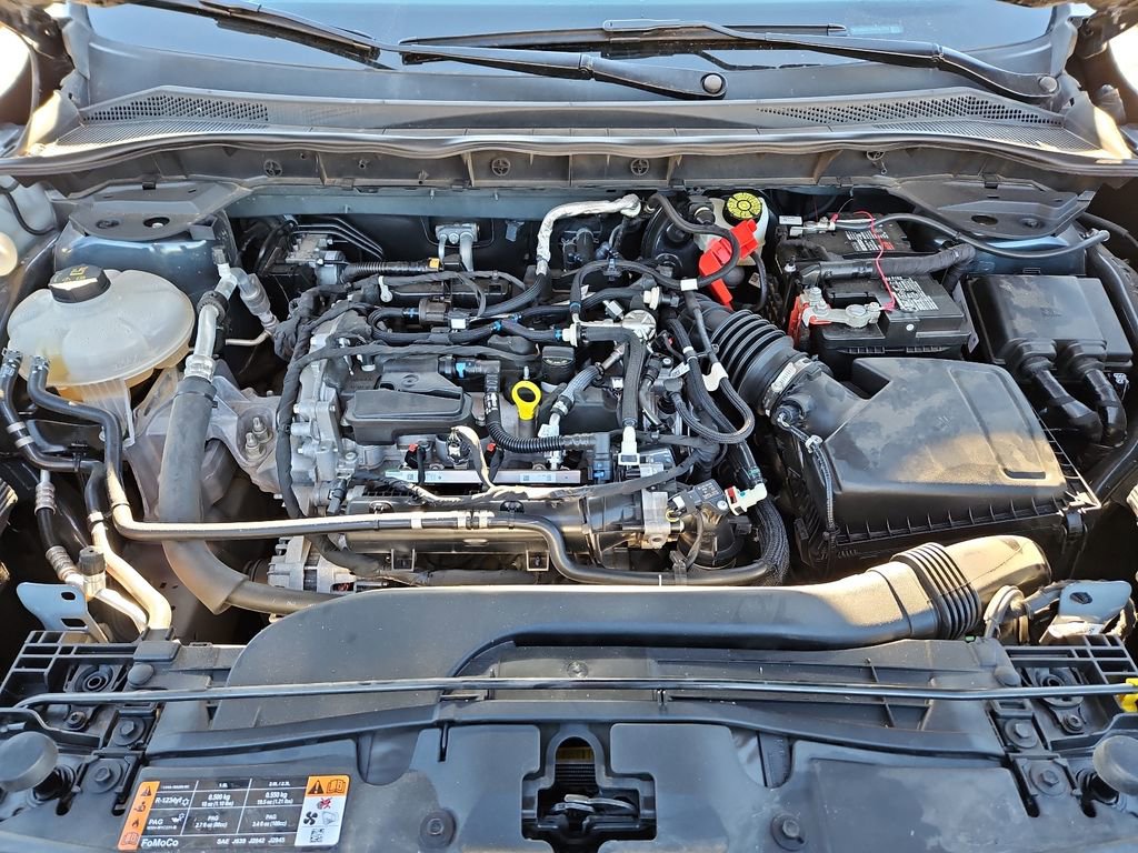 Used 2022 Ford Escape SE w/ Convenience Package image 13