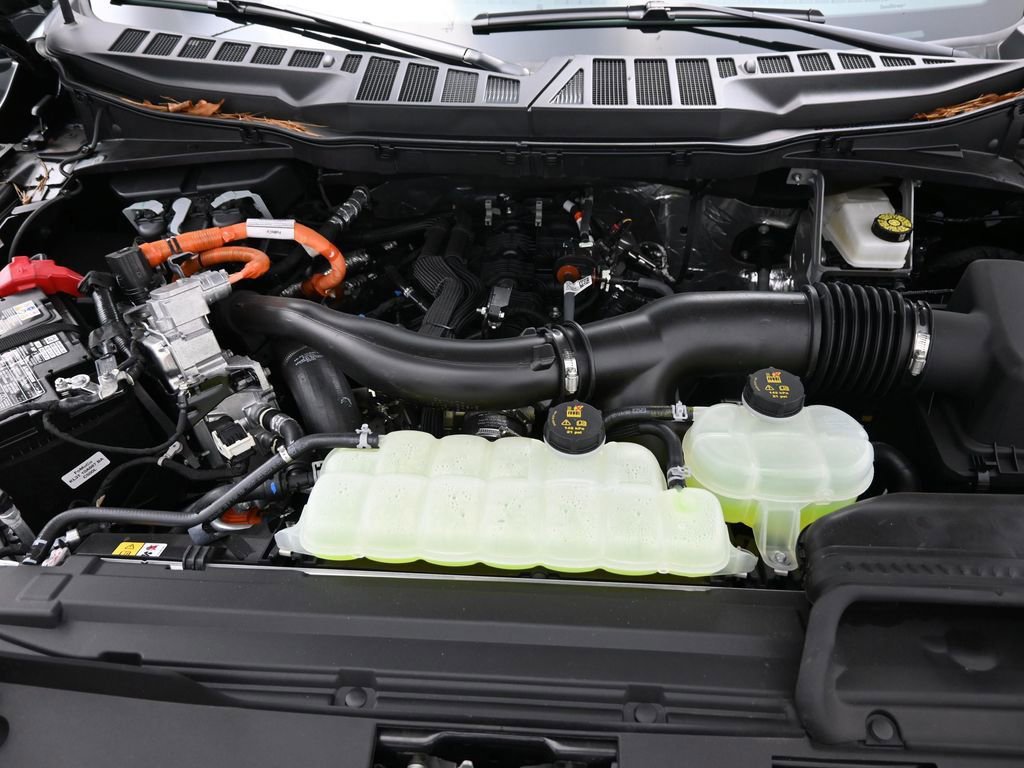 New 2025 Ford F150 XLT w/ Equipment Group 302A MID image 30