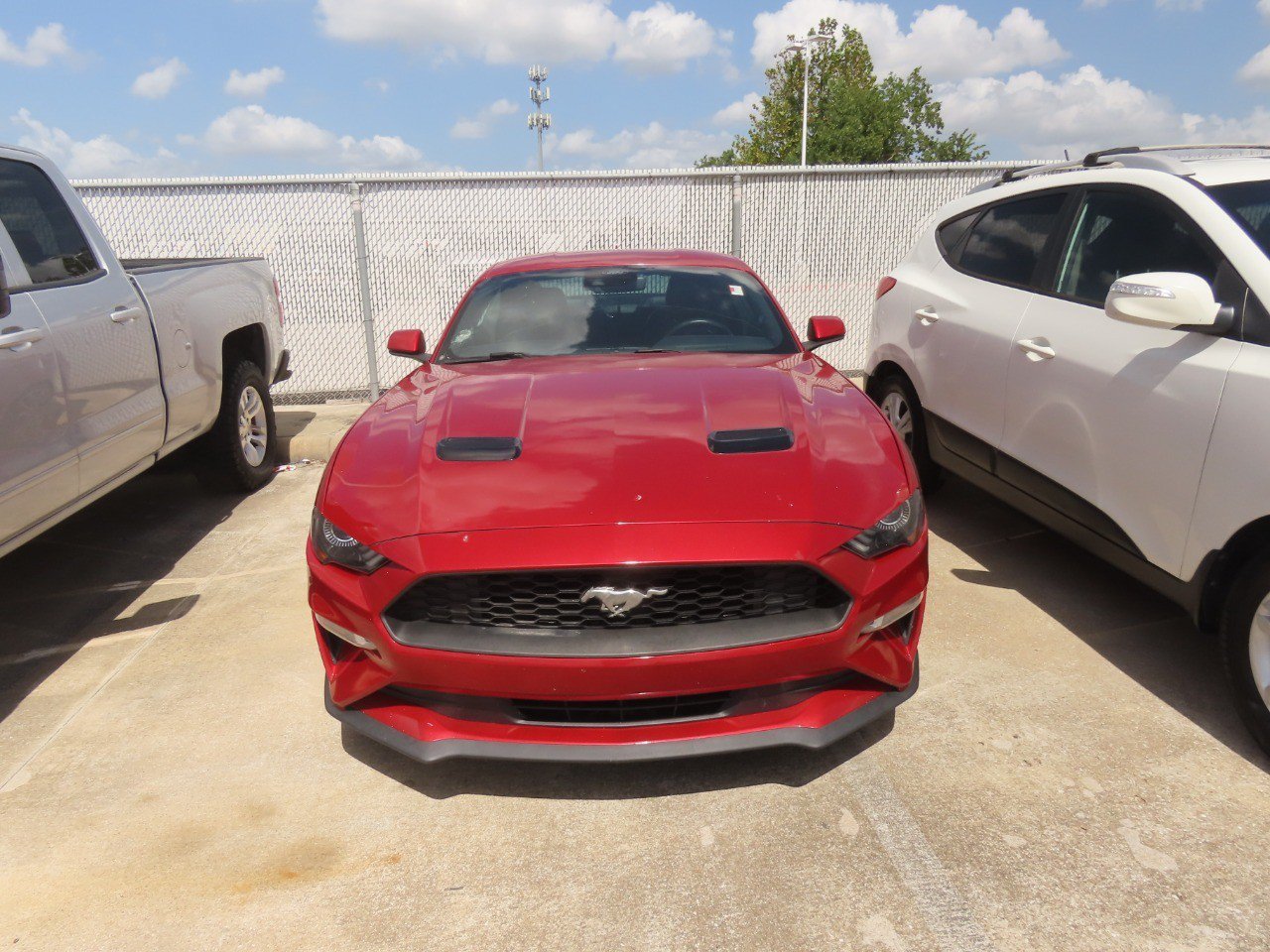Used 2020 Ford Mustang Premium w/ Equipment Group 201A RWD image 5