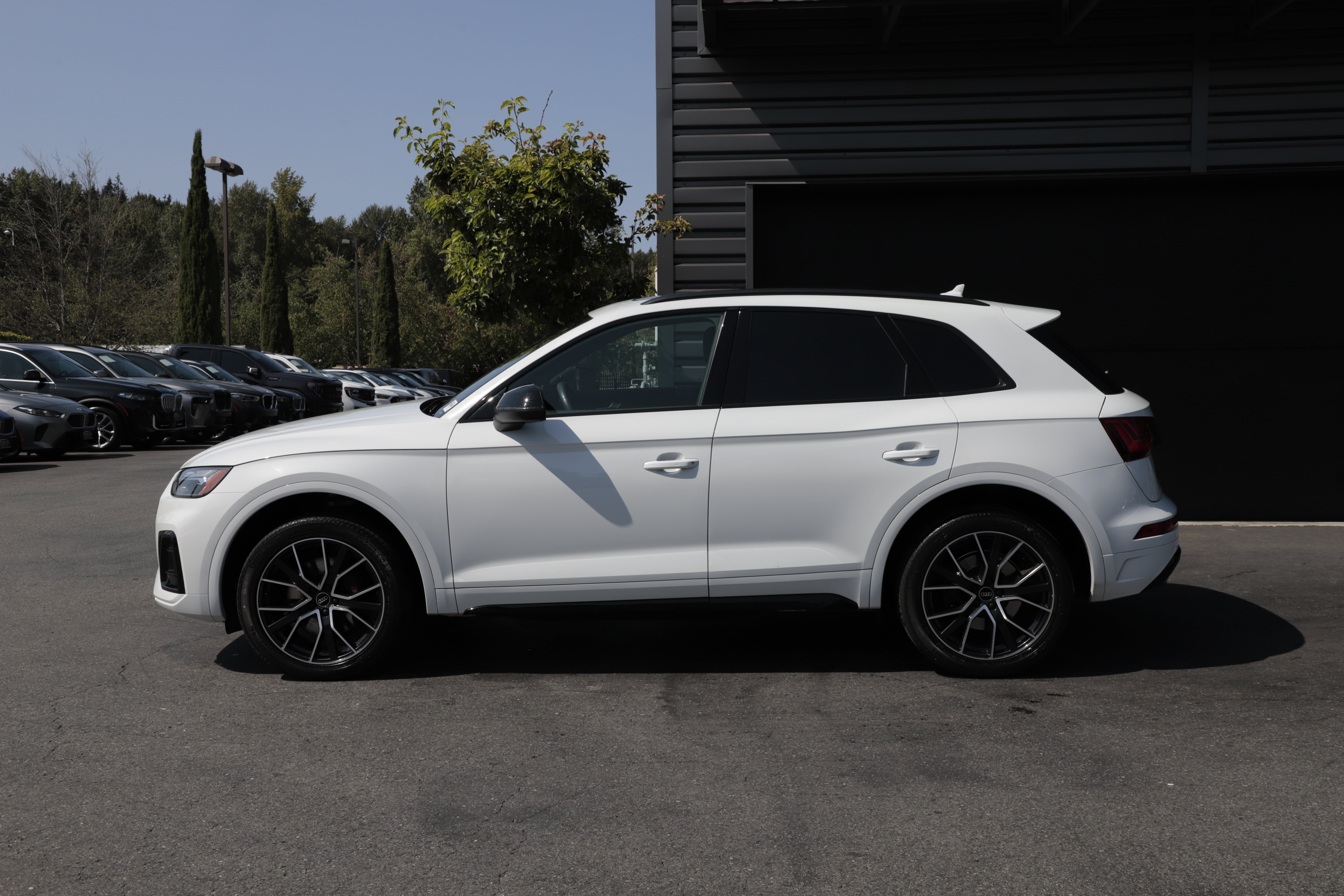 Used 2024 Audi SQ5 Premium Plus AWD/4WD image 5