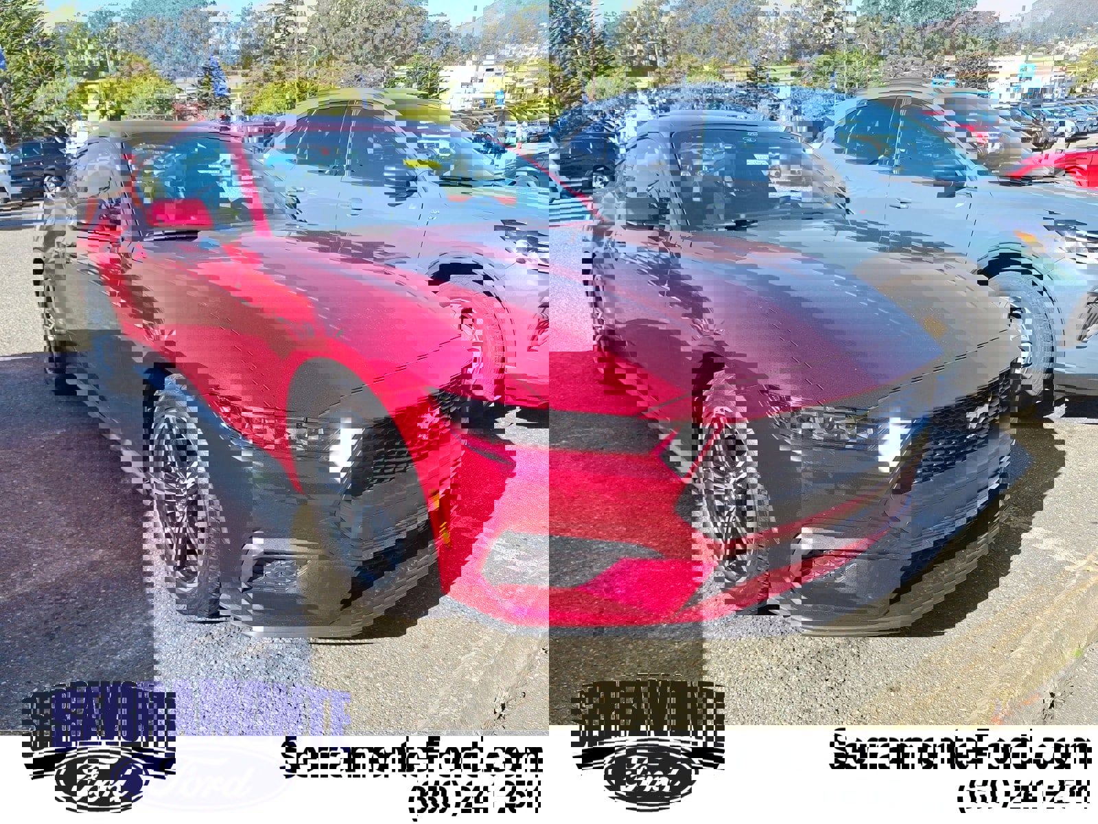 Used 2025 Ford Mustang Coupe