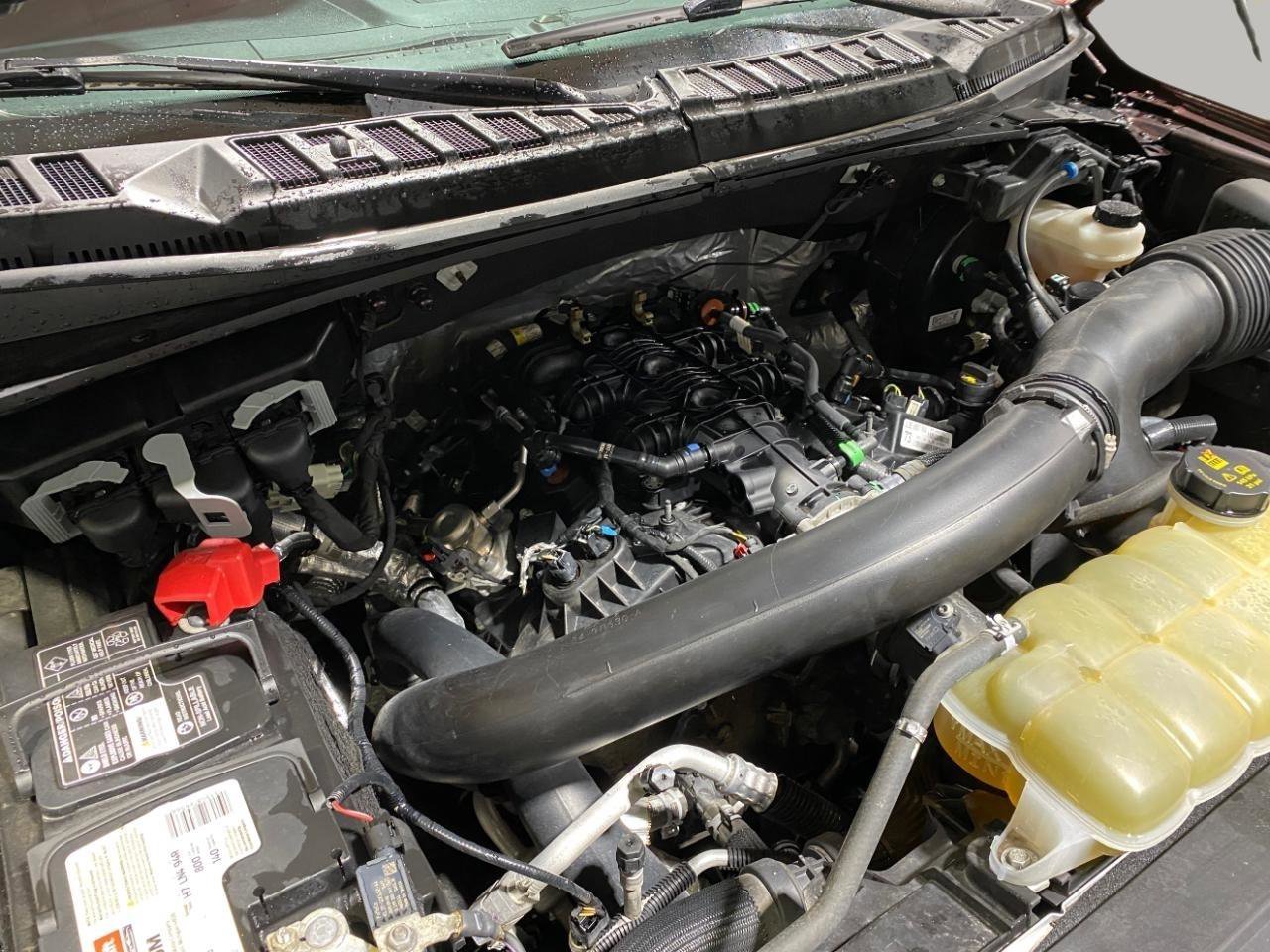 Used 2020 Ford F150 XLT w/ Equipment Group 302A Luxury AWD/4WD image 23