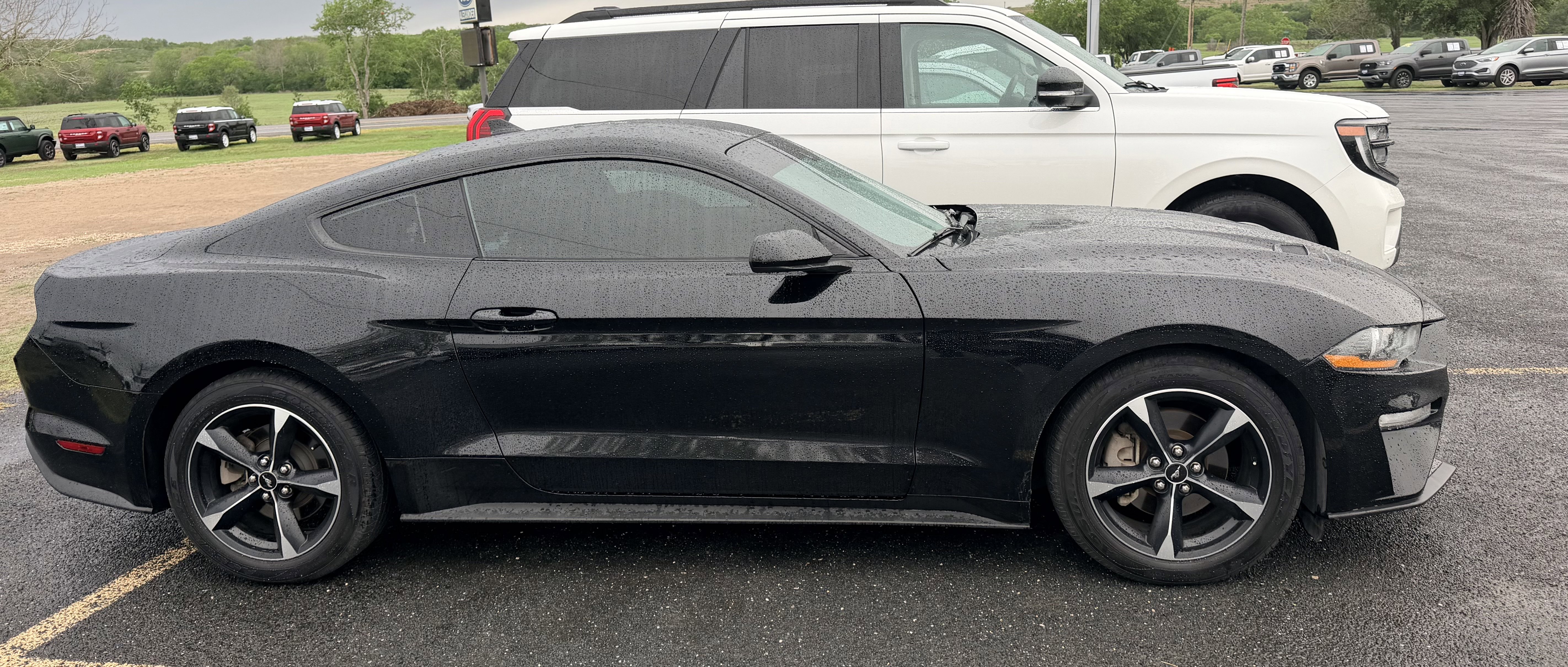 Used 2022 Ford Mustang Coupe w/ Equipment Group 101A RWD image 5