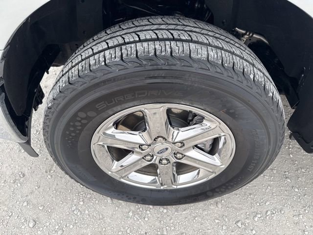 Used 2025 Ford F150 XLT w/ Equipment Group 301A Standard image 29