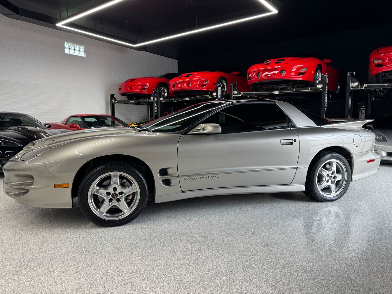 Used 2001 Pontiac Firebird Trans Am w/ SLP Firehawk Pkg RWD image 6