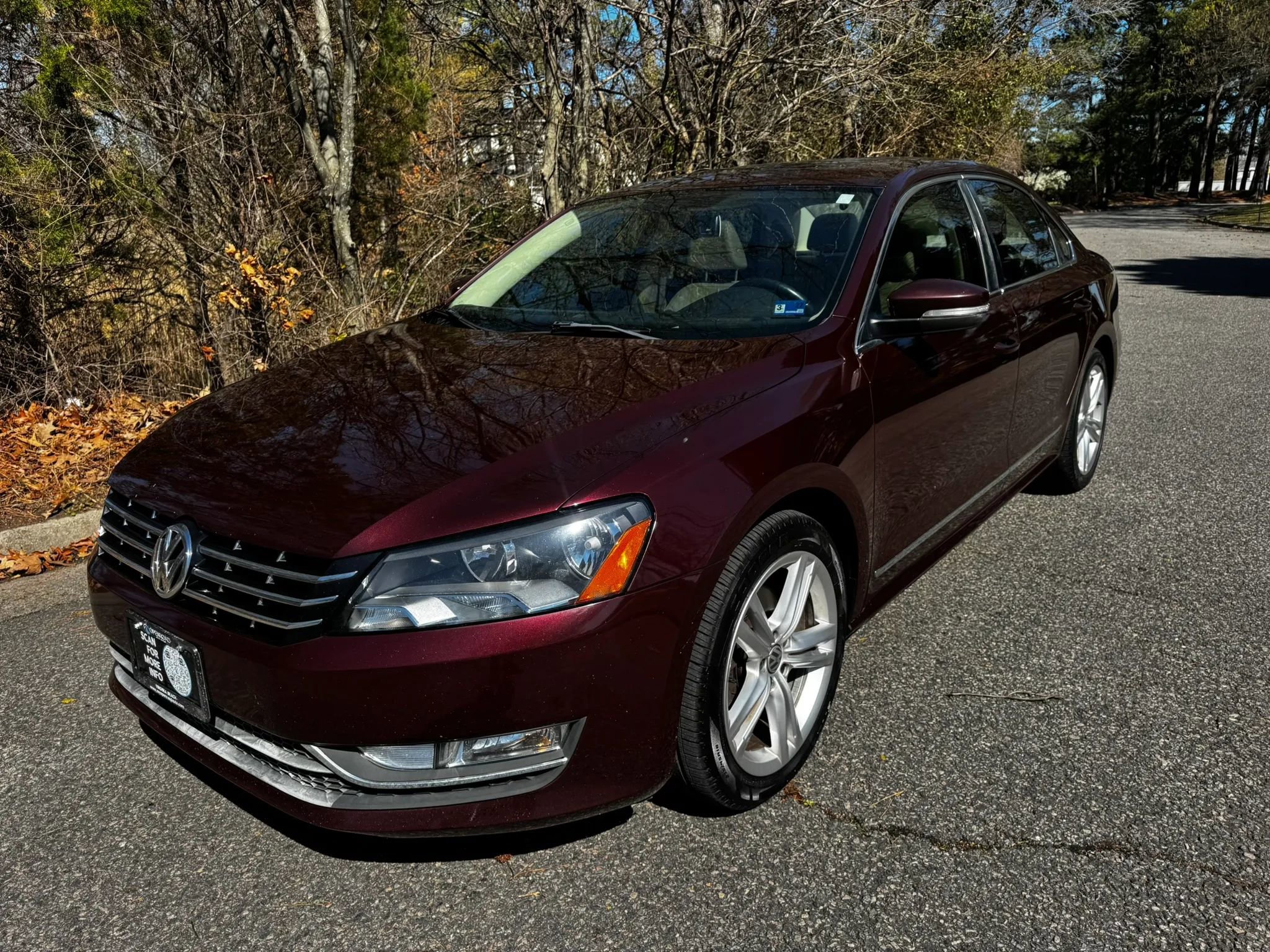 Used 2014 Volkswagen Passat TDI SEL Premium image 3
